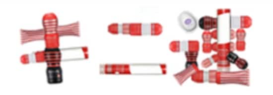 ライブドアブログまとめランキング⑯ キニ速